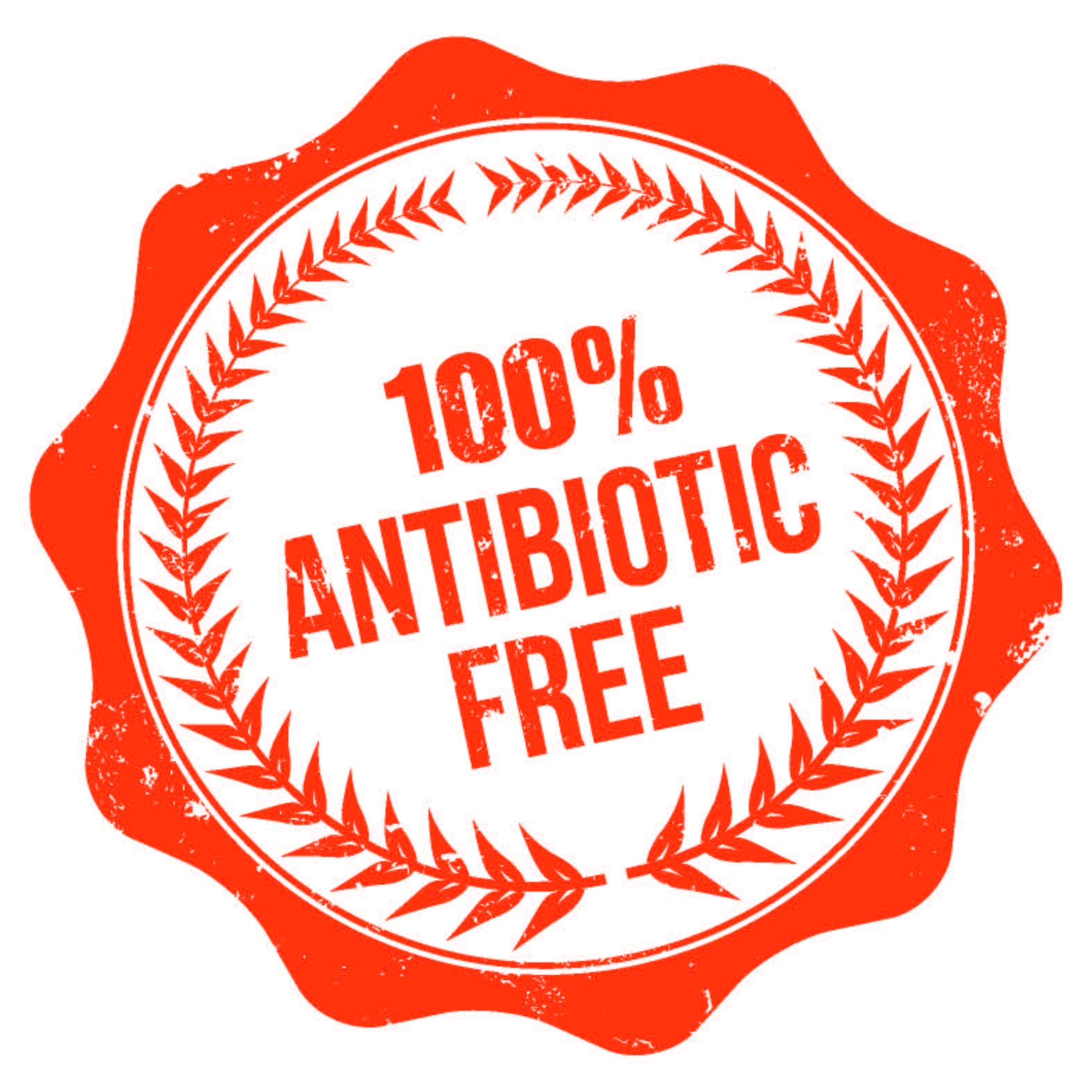Antibiotic Free.jpg
