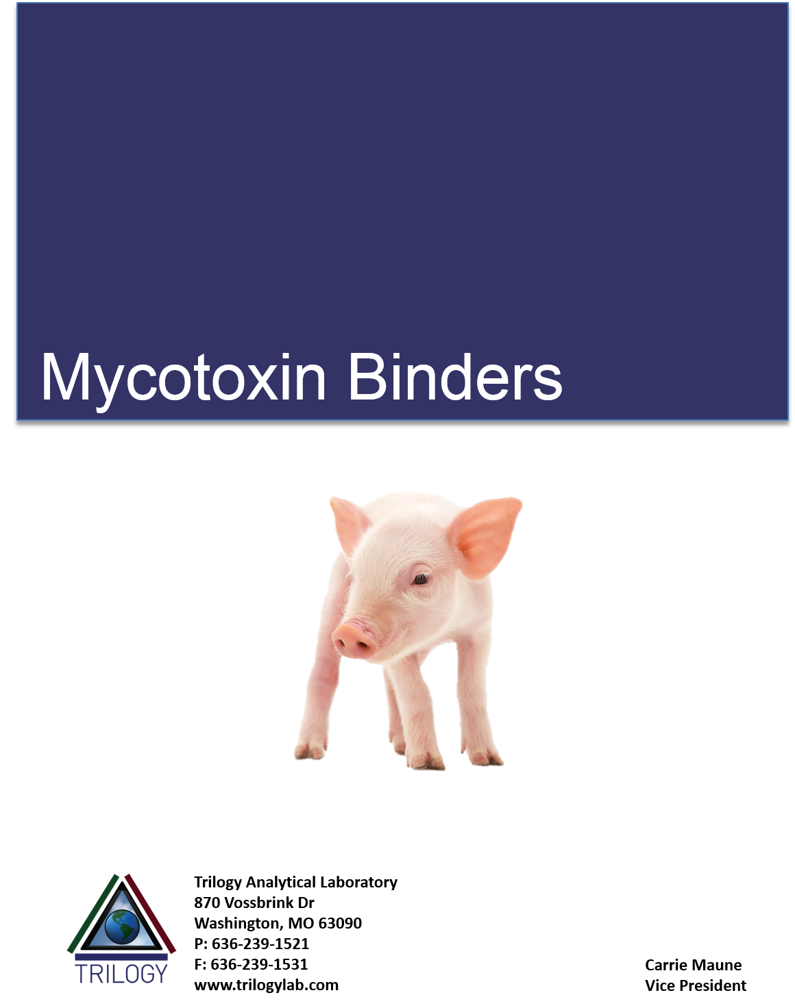 Mycotoxin Binders WP.png